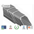 Aluminum/Aluminum Extrusion Profile of Train